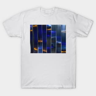 Abstract Structure XII.  Vladivostok Aquarium , Russia T-Shirt